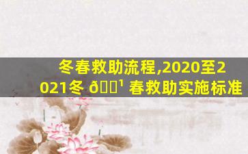 冬春救助流程,2020至2021冬 🌹 春救助实施标准